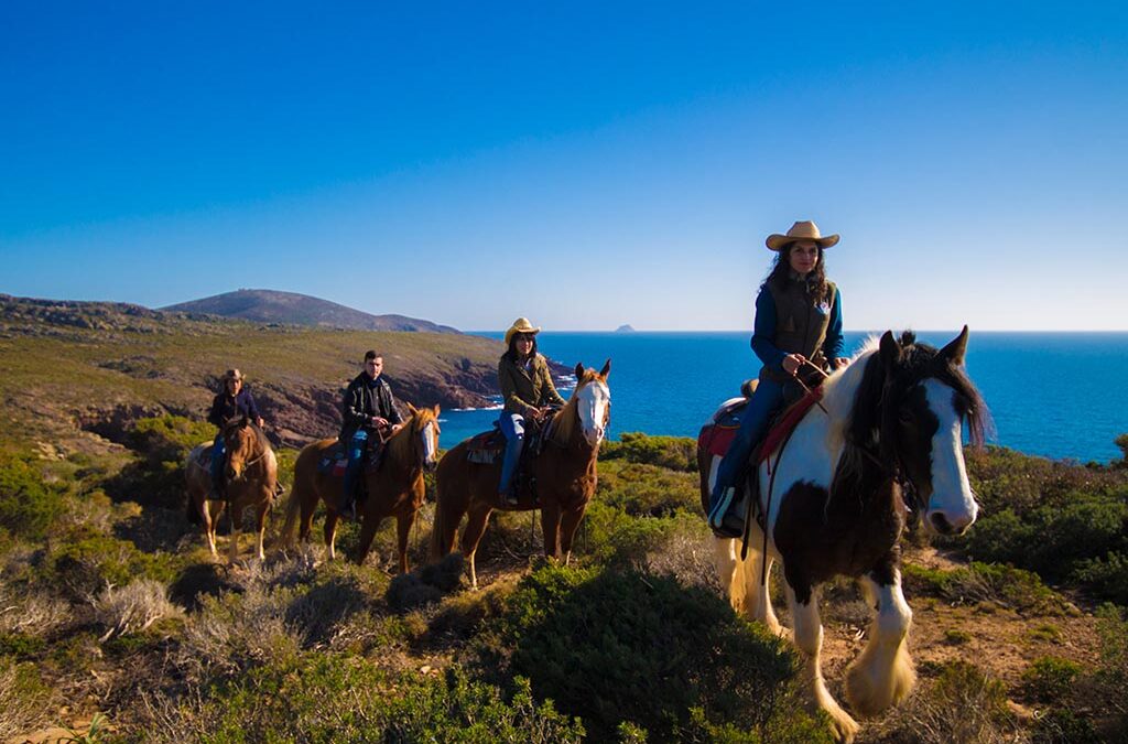 Dove fare escursioni a cavallo in Sardegna